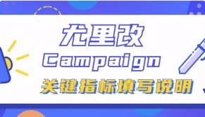 尤里改Campaign关键指标填写说明