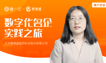 道一云X赛德盛 | “七巧低代码开发可以快速提升我们IT团队的应用开发速度”